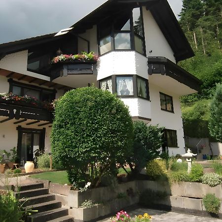 Ferienwohnung Uli Schaetzle Хорнберг Экстерьер фото