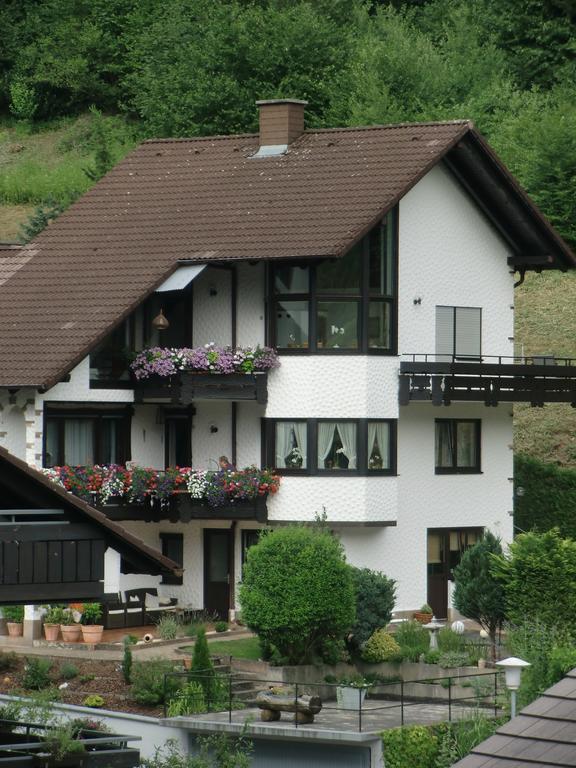 Ferienwohnung Uli Schaetzle Хорнберг Экстерьер фото