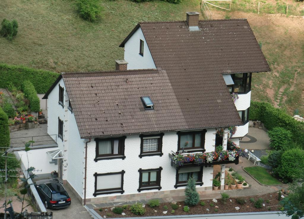 Ferienwohnung Uli Schaetzle Хорнберг Экстерьер фото