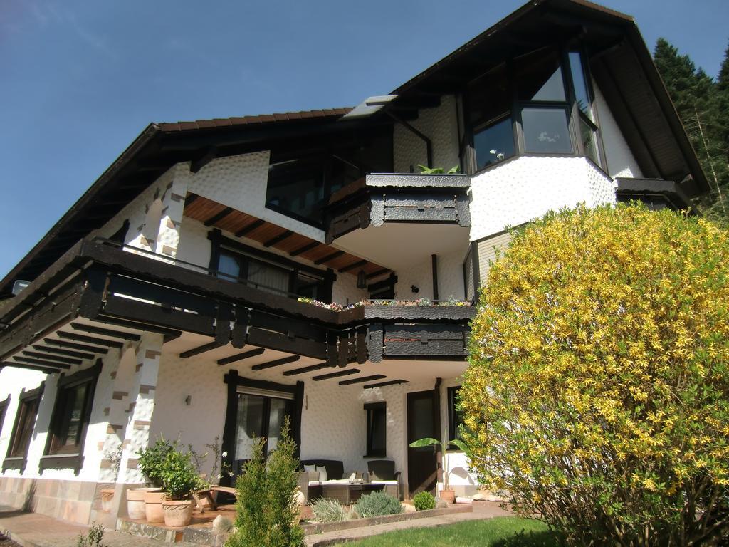 Ferienwohnung Uli Schaetzle Хорнберг Экстерьер фото