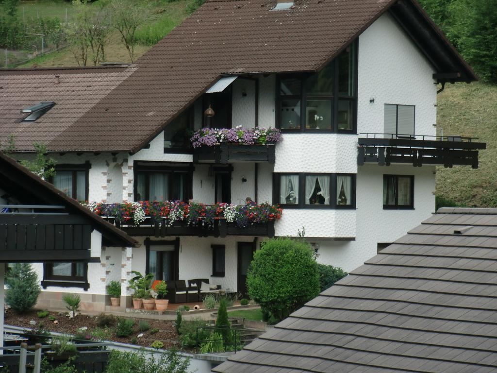 Ferienwohnung Uli Schaetzle Хорнберг Экстерьер фото